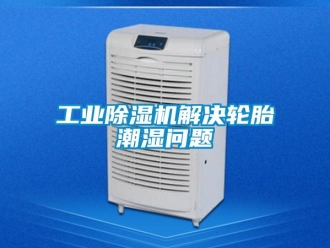 常見問題工業(yè)除濕機解決輪胎潮濕問題