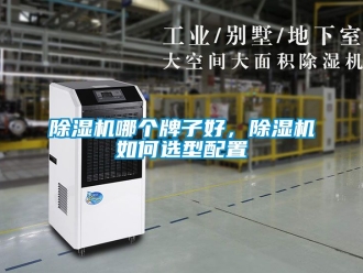 行業新聞除濕機哪個牌子好，除濕機如何選型配置
