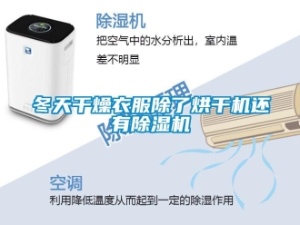 企業新聞冬天干燥衣服除了烘干機還有除濕機