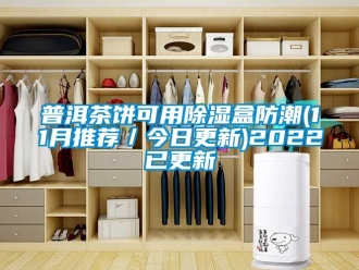常見問題普洱茶餅可用除濕盒防潮(11月推薦／今日更新)2022已更新
