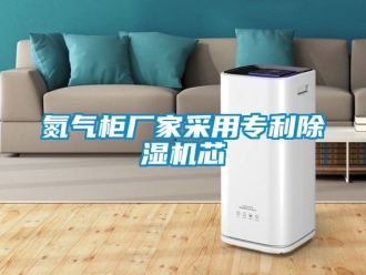 企業(yè)新聞氮氣柜廠家采用專利除濕機芯