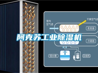 常見(jiàn)問(wèn)題阿克蘇工業(yè)除濕機(jī)