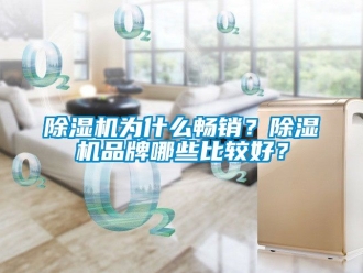 企業新聞除濕機為什么暢銷？除濕機品牌哪些比較好？
