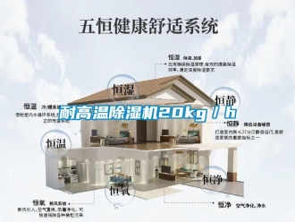 行業(yè)新聞耐高溫除濕機(jī)20kg／h