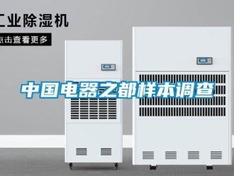 知識(shí)百科中國(guó)電器之都樣本調(diào)查