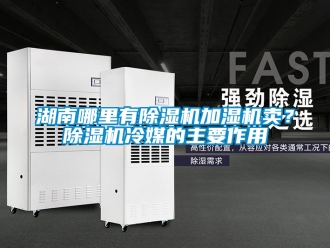 行業新聞湖南哪里有除濕機加濕機賣？除濕機冷媒的主要作用