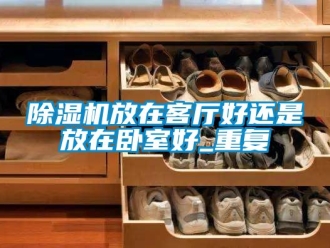行業新聞除濕機放在客廳好還是放在臥室好_重復