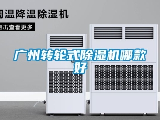 常見問題廣州轉(zhuǎn)輪式除濕機(jī)哪款好
