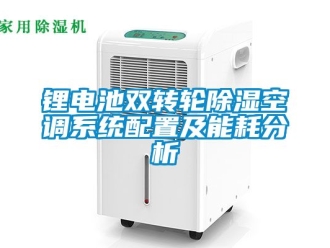 行業(yè)新聞鋰電池雙轉(zhuǎn)輪除濕空調(diào)系統(tǒng)配置及能耗分析