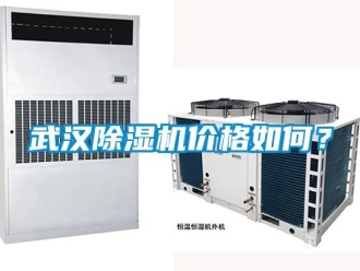 企業(yè)新聞武漢除濕機價格如何？