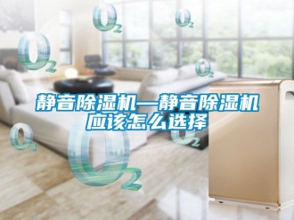 行業新聞靜音除濕機—靜音除濕機應該怎么選擇