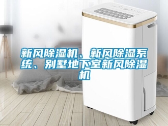 常見問題新風除濕機、新風除濕系統、別墅地下室新風除濕機