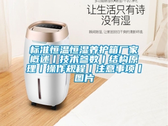 常見問題標(biāo)準(zhǔn)恒溫恒濕養(yǎng)護(hù)箱廠家概述丨技術(shù)參數(shù)丨結(jié)構(gòu)原理丨操作規(guī)程丨注意事項(xiàng)丨圖片