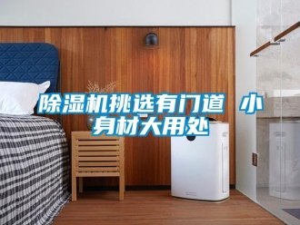 企業(yè)新聞除濕機(jī)挑選有門道 小身材大用處