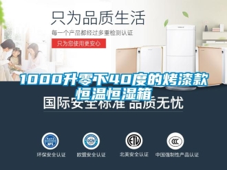常見問題1000升零下40度的烤漆款恒溫恒濕箱