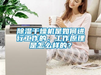 企業新聞除濕干燥機是如何進行工作的，工作原理是怎么樣的？