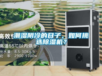 常見問題潮濕陰冷的日子，如何挑選除濕機？