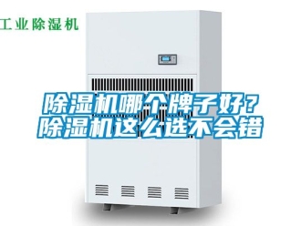 行業(yè)新聞除濕機哪個牌子好？除濕機這么選不會錯