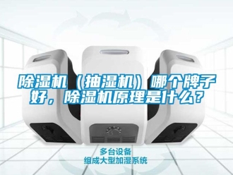 企業(yè)新聞除濕機（抽濕機）哪個牌子好，除濕機原理是什么？