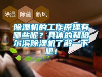 企業新聞除濕機的工作原理有哪些呢？具體的和哈爾濱除濕機了解一下吧！