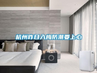 行業新聞杭州昨日入梅防潮要上心