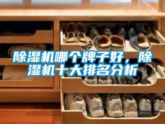 行業新聞除濕機哪個牌子好，除濕機十大排名分析