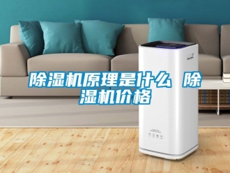 企業新聞除濕機原理是什么 除濕機價格