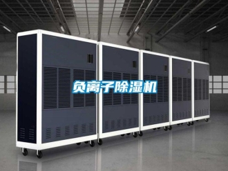 企業(yè)新聞負(fù)離子除濕機(jī)
