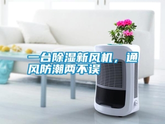 知識百科一臺除濕新風機，通風防潮兩不誤