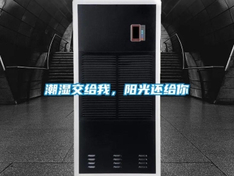 企業(yè)新聞潮濕交給我，陽(yáng)光還給你