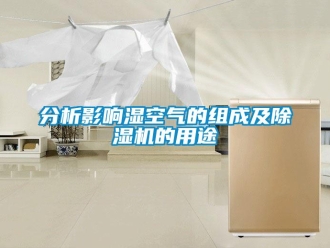 企業新聞分析影響濕空氣的組成及除濕機的用途