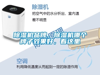 企業新聞除濕機品牌，除濕機哪個牌子效果好，看這里