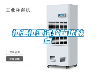 知識百科恒溫恒濕試驗(yàn)箱優(yōu)缺點(diǎn)