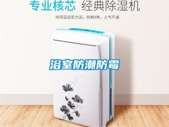 知識百科浴室防潮防霉