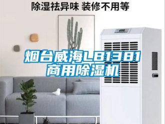 常見問題煙臺威海LB1381商用除濕機