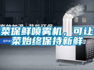 知識百科蔬菜保鮮噴霧機，可讓蔬菜始終保持新鮮