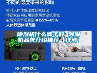 企業新聞除濕機什么牌子好 除濕機品牌介紹推薦【詳解】