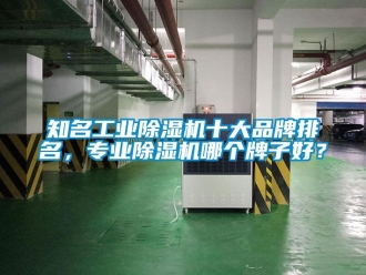 常見問題知名工業(yè)除濕機(jī)十大品牌排名，專業(yè)除濕機(jī)哪個牌子好？