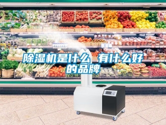 企業新聞除濕機是什么 有什么好的品牌