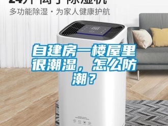 常見問題自建房一樓屋里很潮濕，怎么防潮？