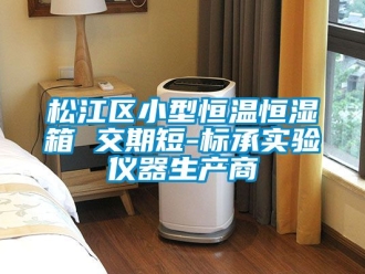 知識百科松江區小型恒溫恒濕箱 交期短-標承實驗儀器生產商