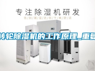 常見問題轉(zhuǎn)輪除濕機的工作原理_重復(fù)