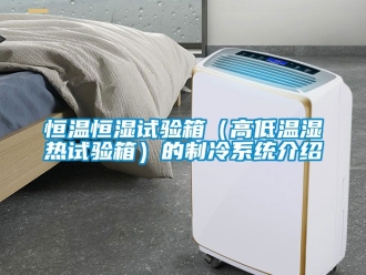 知識百科恒溫恒濕試驗(yàn)箱（高低溫濕熱試驗(yàn)箱）的制冷系統(tǒng)介紹