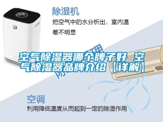 行業(yè)新聞空氣除濕器哪個(gè)牌子好 空氣除濕器品牌介紹【詳解】