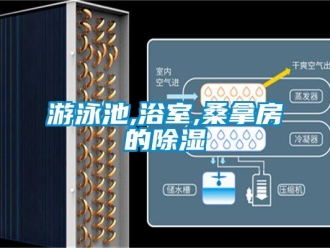 知識百科游泳池,浴室,桑拿房的除濕