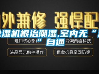 常見問題除濕機根治潮濕,室內(nèi)無“濕”自通