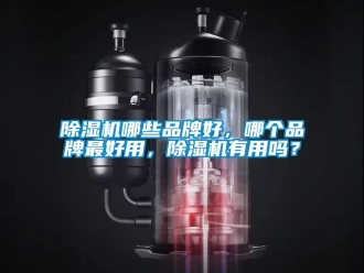 企業(yè)新聞除濕機哪些品牌好，哪個品牌最好用，除濕機有用嗎？