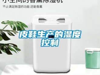 行業新聞皮鞋生產的濕度控制
