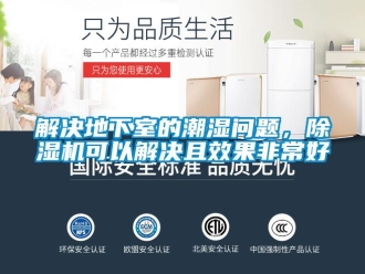 常見問題解決地下室的潮濕問題，除濕機可以解決且效果非常好