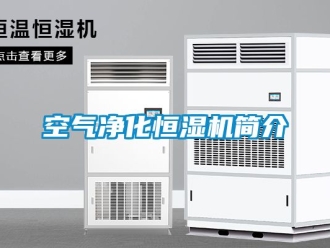 知識百科空氣凈化恒濕機簡介